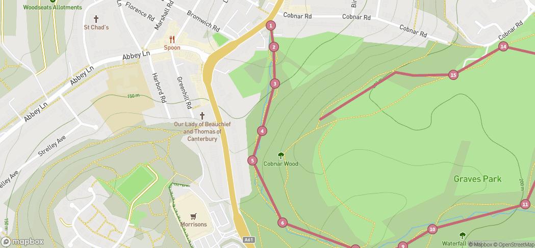 Map preview for Graves Park loop