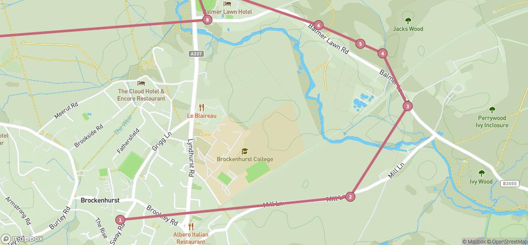 Map preview for Grey day in New Forest